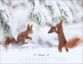 Vadim Trunov: Vadim Trunov: Märchenhaftes Waldleben Posterkalender 2026 