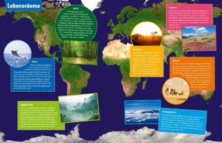 Andrea Weller-Essers: WAS IST WAS Geniale Tiere ... und ihre Tricks 