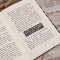 Aimée Carter, Frauke Schneider: Der Fluch des Phönix 