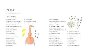 DK Verlag, Anthony Gladman: Workshop Gin 