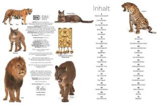 Susanne Schmidt-Wussow, DK Verlag - Kids, Juliet Clutton-Brock: memo Wissen. Katzen 