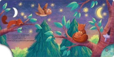 Maria Höck, Julia Seal: Mein Schlummer-Licht-Buch: Gute Nacht, Wald 