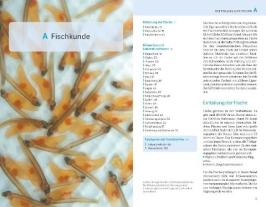 Hans Eiber, Alexander Kölbing: Fischerprüfung 