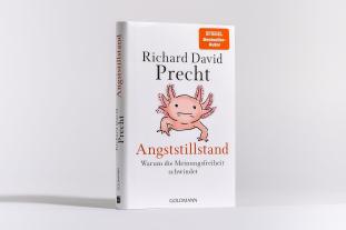 Richard David Precht: Angststillstand 