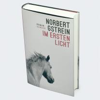 Norbert Gstrein: Im ersten Licht 
