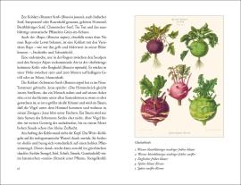 Angelika Overath: Krautwelten 