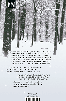 Vladimir Sorokin: Der Schneesturm 