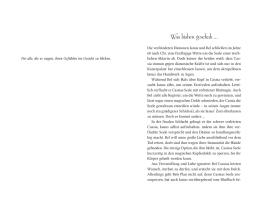 Julia Dippel: Belial 2: Seelenfrieden 