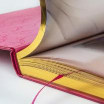 Walt Disney: Disney: Das große goldene Buch der Prinzessinnen 