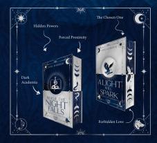 Beril Kehribar: Where the Night Falls (School of Darkness 1) 