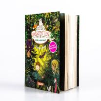 Margit Auer, Nina Dulleck: Die Schule der magischen Tiere 11: Wilder, wilder Wald! 