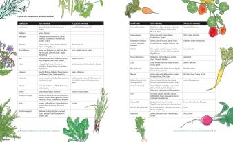 Doris Kampas, Ruth Veres: Das unglaubliche Hochbeet 