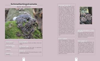 Stefan Marxer: Pilzvergnügt 