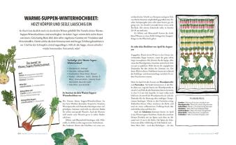 Doris Kampas, Ruth Veres: Das sensationelle Winterhochbeet 