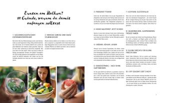 Fühl dich Löwenzahn: Dein fantastischer Balkongarten 