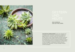 Gabriela Nedoma: Vergessene Heiltinkturen 