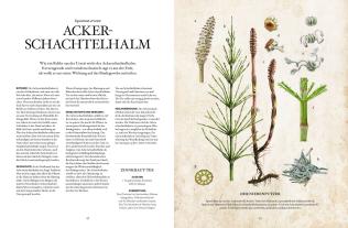 Karin Buchart, Miriam Wiegele, Andreas Leitner: Die Natur-Apotheke 