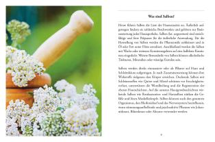Gabriela Nedoma: Das große kleine Buch: Heilsalben aus Wald und Wiese 