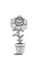 Nelly Möhle, Eva Schöffmann-Davidov: Der Zaubergarten – Geheimnisse sind blau 