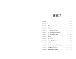 Martin Bayer, Luis Elizondo: Imminent 
