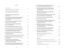 Pavlina Klemm: Plejadische Intelligenz 