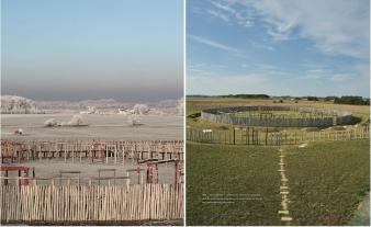 Harald Meller, Michael Schefzik: Die Welt der Himmelsscheibe von Nebra - Neue Horizonte 