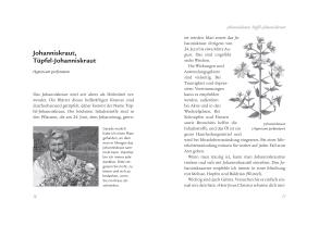 Eva Aschenbrenner: Die Kräuterapotheke Gottes 