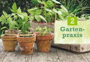 Renate Hudak: Obst & Gemüse selbst anbauen 