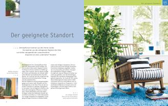 Karin Greiner, Angelika Weber: Zimmerpflanzen 