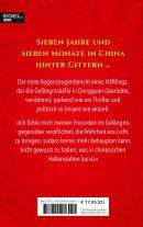 Robert Rother: Drachenjahre 