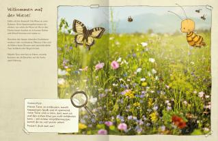 Maite Kelly, Britta Sabbag, Joëlle Tourlonias: Die kleine Hummel Bommel entdeckt die Wiese 