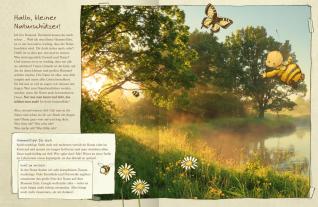 Maite Kelly, Britta Sabbag, Joëlle Tourlonias: Die kleine Hummel Bommel schützt die Umwelt 