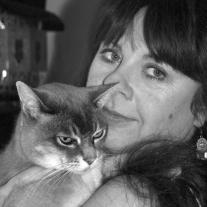 Simone Leiss-Bohn, Sue Bentley: Lesen lernen mit Magie: Zauberponys 