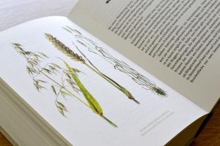 Dominik Eulberg: Mikroorgasmen überall 