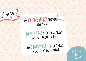 Groh Redaktionsteam, Groh Verlag: Ein kleines Wunder wächst heran. 