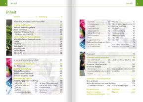 Barbara Simonsohn: Artemisia annua – Heilpflanze der Götter. Kompakt-Ratgeber 