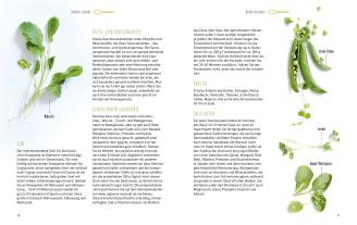 Fantastische Salate 