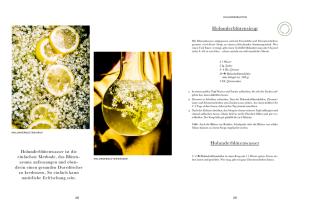 Bernadette Wörndl: Das Wald-Kochbuch 