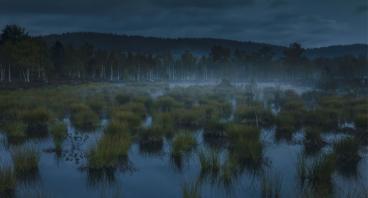 Frank Dr. Weinreich, Andreas Gerth, Frank Weinreich: Auenland und Düsterwald 