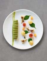 Die hohe Schule des Kochens 