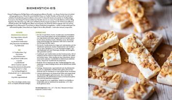 Lucy Allary · Eisbrunnen: Die vegane Eis-Bibel 