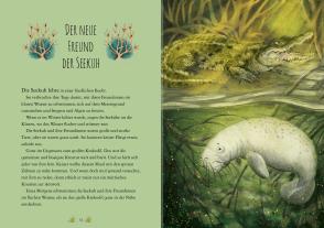 Chae Strathie, Erin Brown: Wunderwelt der Tiere im Meer 