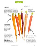 Eliana Ferioli: Regrowing – Neue Triebe aus Obst- und Gemüseresten 