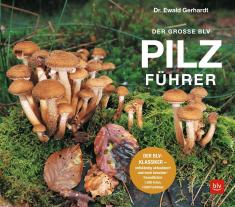 Ewald Gerhardt: Der große BLV Pilzführer 