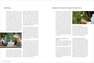Tina Rosenkranz: Die Kräutermacherei. Meine Naturapotheke. 