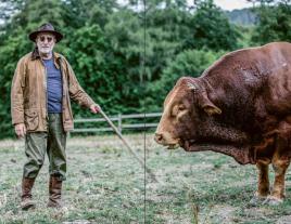 Franz Keller: Ab in die Küche! 