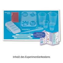 Kristall-Seife  gieße und gestalte deine eigenen Seifen 