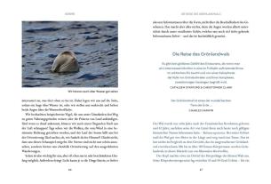 Fabian Ritter: Wir Wale 