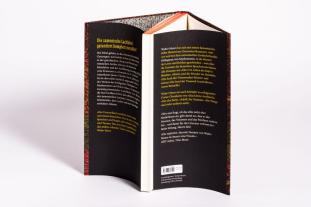 Walter Moers: Das Einhörnchen, das rückwärts leben wollte 