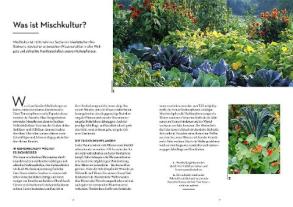 Ortrud Grieb: Wer kann mit wem im Beet? 